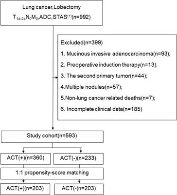 Adjuvant chemotherapy can benefit the survival of stage I lung adenocarcinoma patients with tumour spread through air spaces after resection: Propensity-score matched analysis